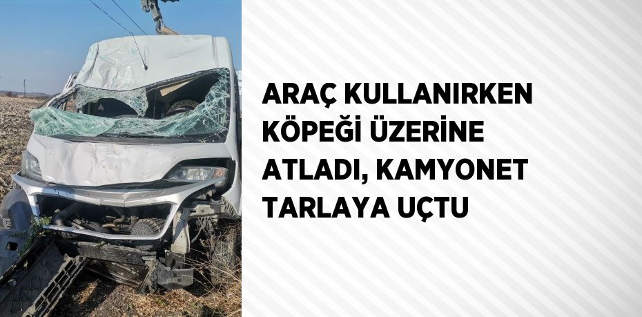 ARAÇ KULLANIRKEN KÖPEĞİ ÜZERİNE ATLADI, KAMYONET TARLAYA UÇTU