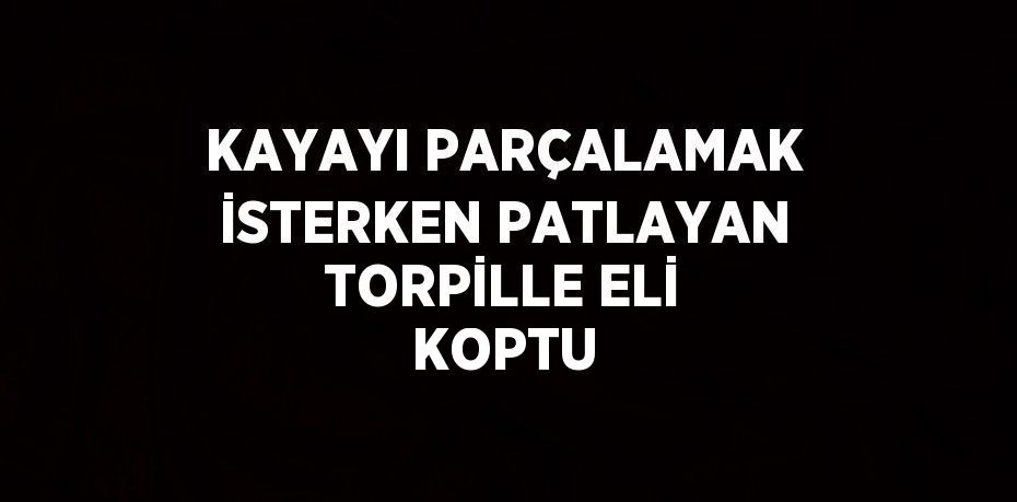 KAYAYI PARÇALAMAK İSTERKEN PATLAYAN TORPİLLE ELİ KOPTU