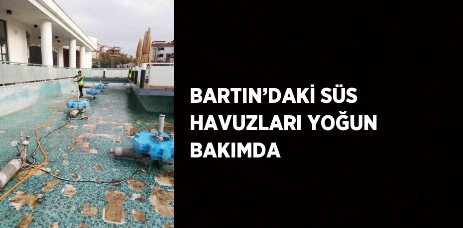 BARTIN’DAKİ SÜS HAVUZLARI YOĞUN BAKIMDA