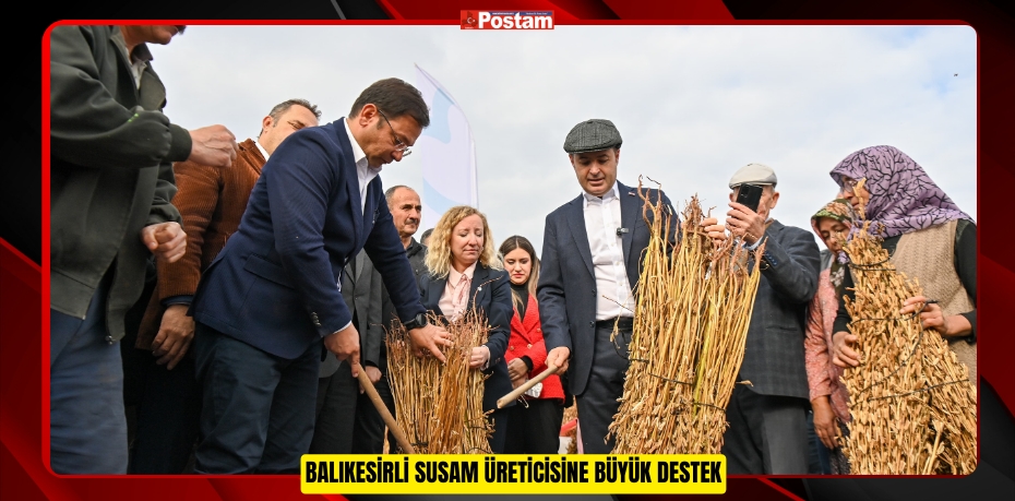 BALIKESİRLİ SUSAM ÜRETİCİSİNE BÜYÜK DESTEK