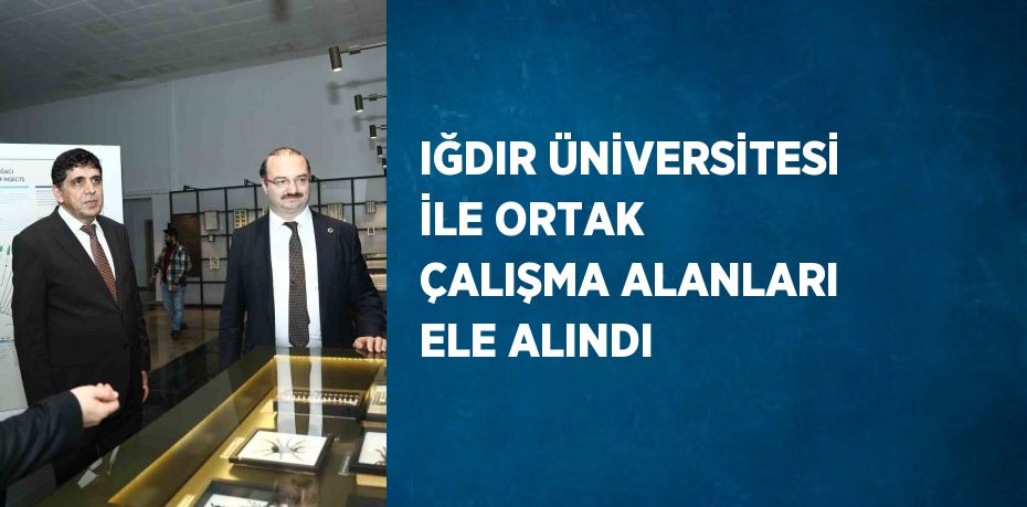 IĞDIR ÜNİVERSİTESİ İLE ORTAK ÇALIŞMA ALANLARI ELE ALINDI