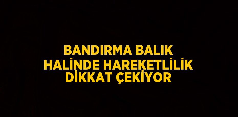 BANDIRMA BALIK HALİNDE HAREKETLİLİK DİKKAT ÇEKİYOR