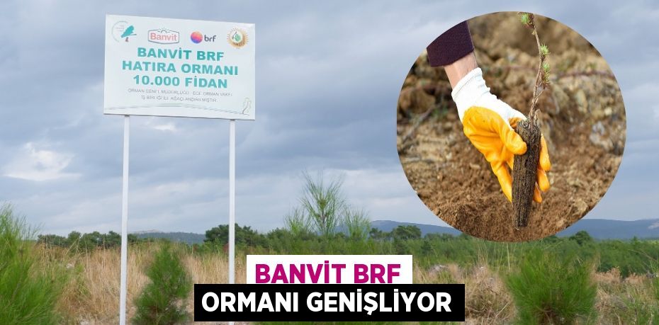 Banvit BRF Ormanı genişliyor