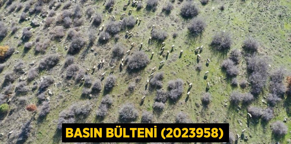 Basın Bülteni (2023958)