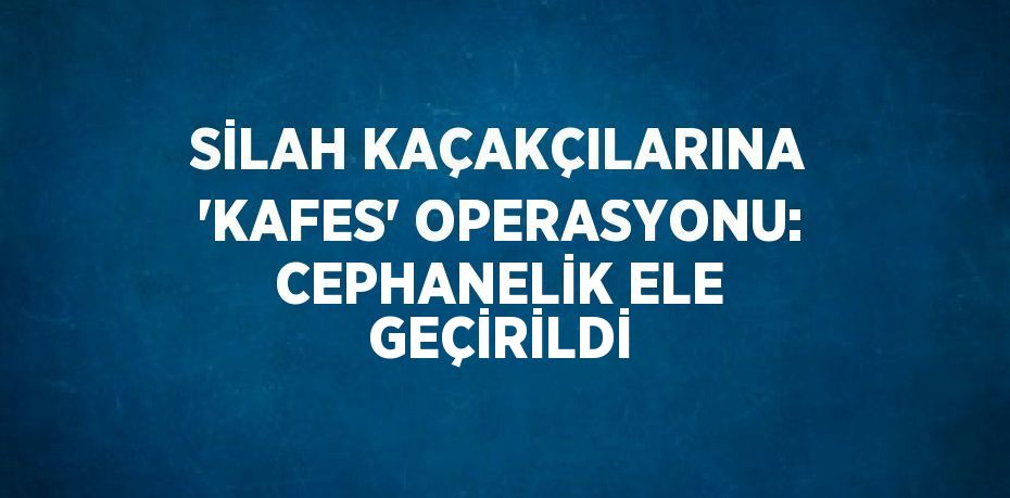 SİLAH KAÇAKÇILARINA 'KAFES' OPERASYONU: CEPHANELİK ELE GEÇİRİLDİ