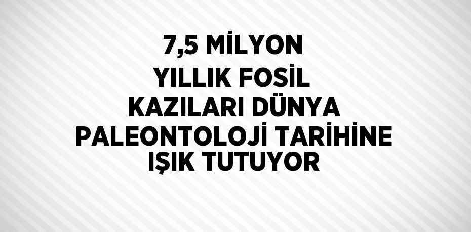 7,5 MİLYON YILLIK FOSİL KAZILARI DÜNYA PALEONTOLOJİ TARİHİNE IŞIK TUTUYOR