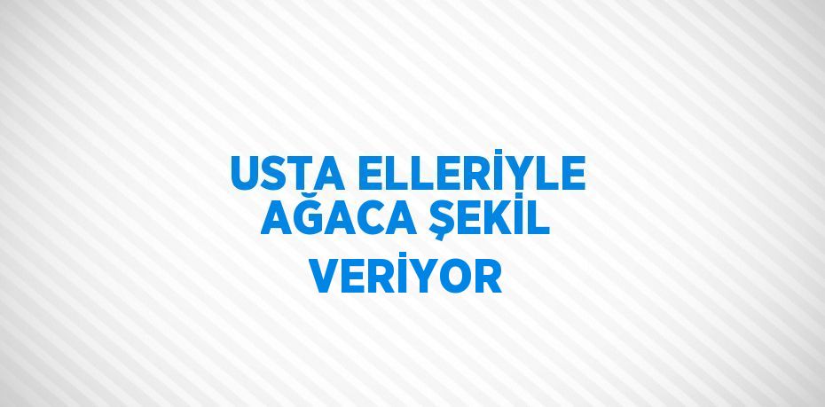 USTA ELLERİYLE AĞACA ŞEKİL VERİYOR