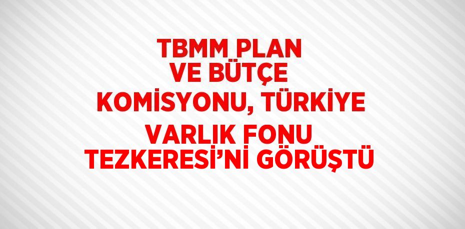 TBMM PLAN VE BÜTÇE KOMİSYONU, TÜRKİYE VARLIK FONU TEZKERESİ’Nİ GÖRÜŞTÜ