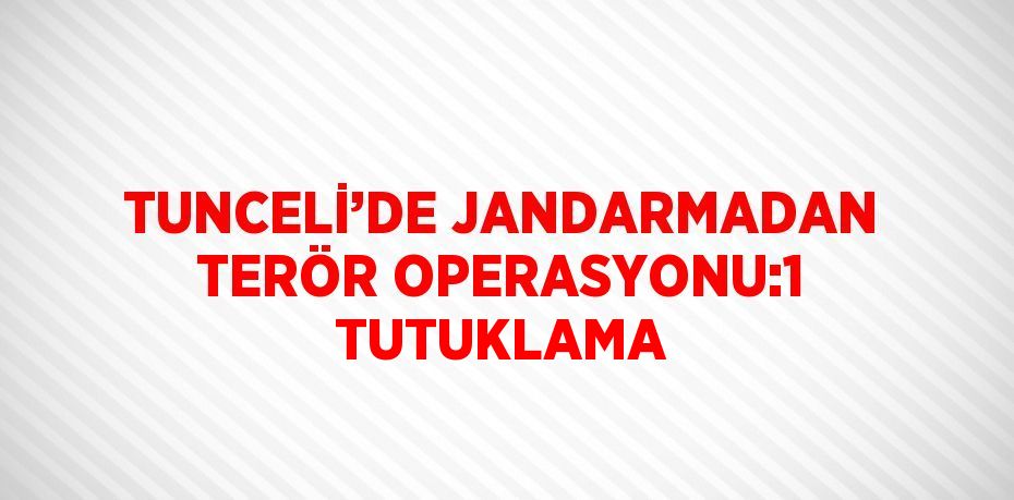 TUNCELİ’DE JANDARMADAN TERÖR OPERASYONU:1 TUTUKLAMA