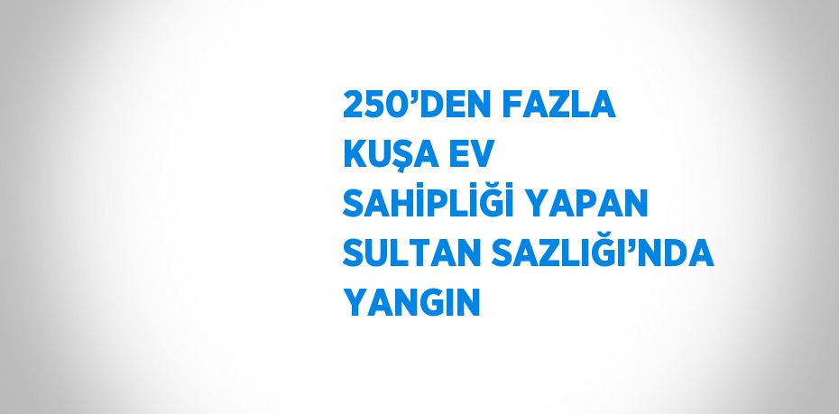 250’DEN FAZLA KUŞA EV SAHİPLİĞİ YAPAN SULTAN SAZLIĞI’NDA YANGIN