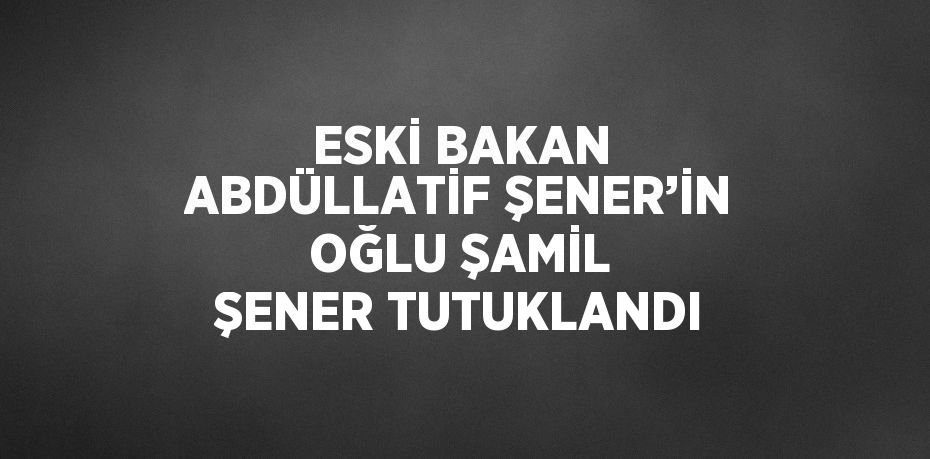 ESKİ BAKAN ABDÜLLATİF ŞENER’İN OĞLU ŞAMİL ŞENER TUTUKLANDI