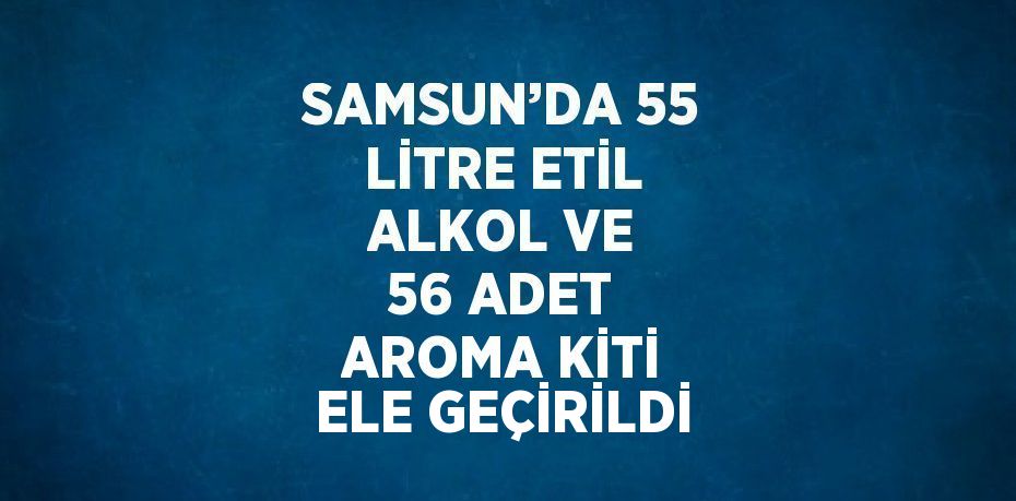 SAMSUN’DA 55 LİTRE ETİL ALKOL VE 56 ADET AROMA KİTİ ELE GEÇİRİLDİ