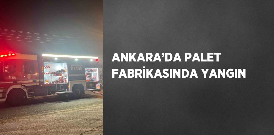 ANKARA’DA PALET FABRİKASINDA YANGIN