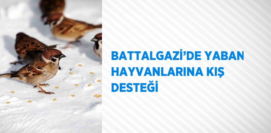 BATTALGAZİ’DE YABAN HAYVANLARINA KIŞ DESTEĞİ