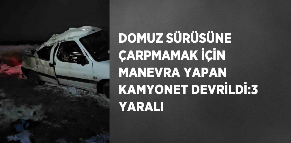 DOMUZ SÜRÜSÜNE ÇARPMAMAK İÇİN MANEVRA YAPAN KAMYONET DEVRİLDİ:3 YARALI