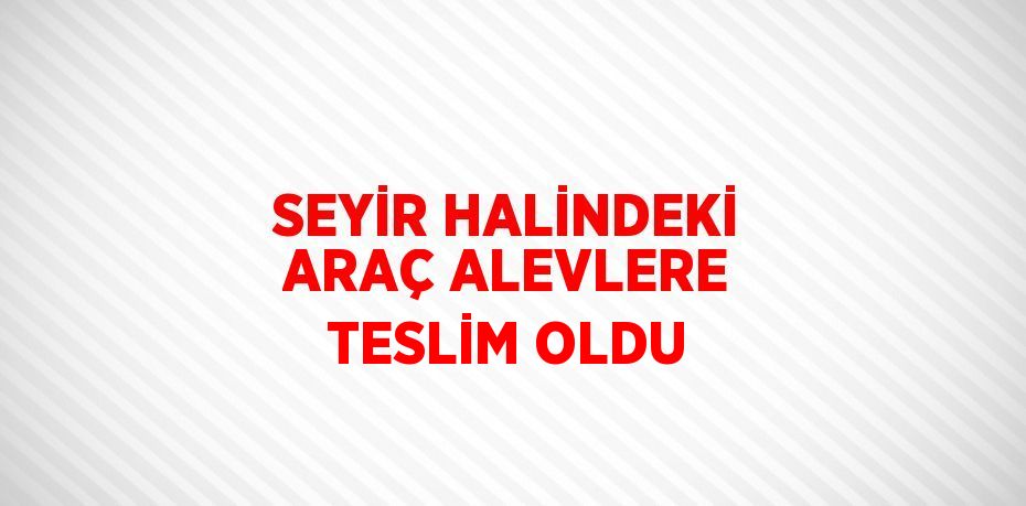 SEYİR HALİNDEKİ ARAÇ ALEVLERE TESLİM OLDU