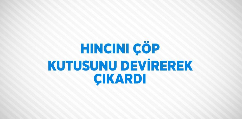 HINCINI ÇÖP KUTUSUNU DEVİREREK ÇIKARDI