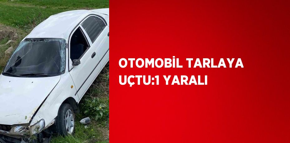 OTOMOBİL TARLAYA UÇTU:1 YARALI