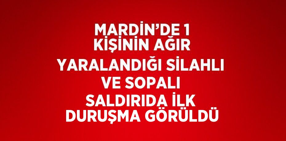 MARDİN’DE 1 KİŞİNİN AĞIR YARALANDIĞI SİLAHLI VE SOPALI SALDIRIDA İLK DURUŞMA GÖRÜLDÜ