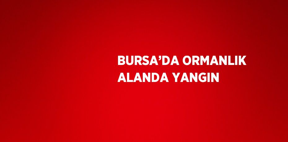 BURSA’DA ORMANLIK ALANDA YANGIN