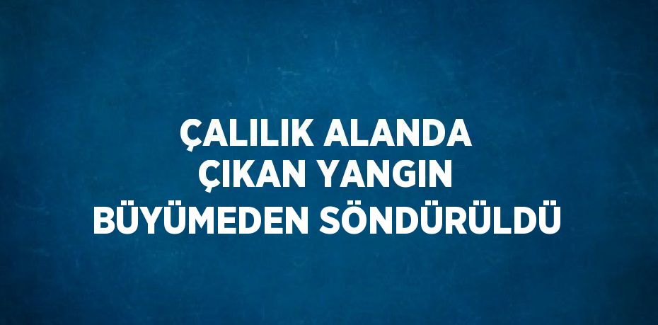 ÇALILIK ALANDA ÇIKAN YANGIN BÜYÜMEDEN SÖNDÜRÜLDÜ