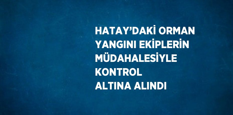 HATAY’DAKİ ORMAN YANGINI EKİPLERİN MÜDAHALESİYLE KONTROL ALTINA ALINDI