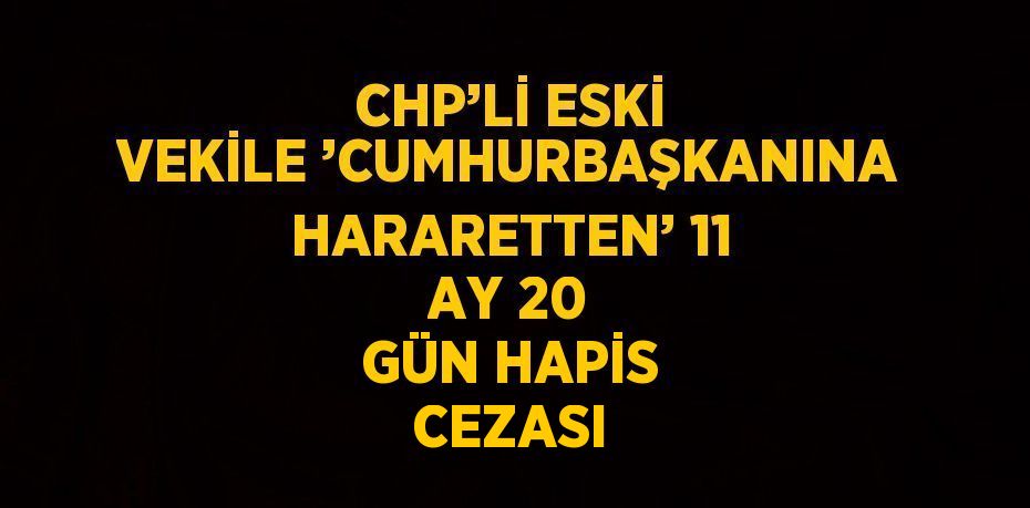 CHP’Lİ ESKİ VEKİLE ’CUMHURBAŞKANINA HARARETTEN’ 11 AY 20 GÜN HAPİS CEZASI