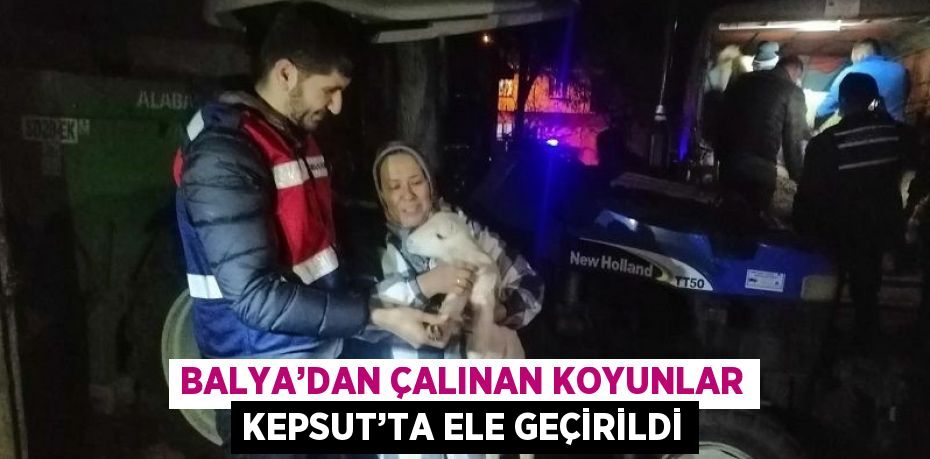 BALYA’DAN ÇALINAN KOYUNLAR KEPSUT’TA ELE GEÇİRİLDİ