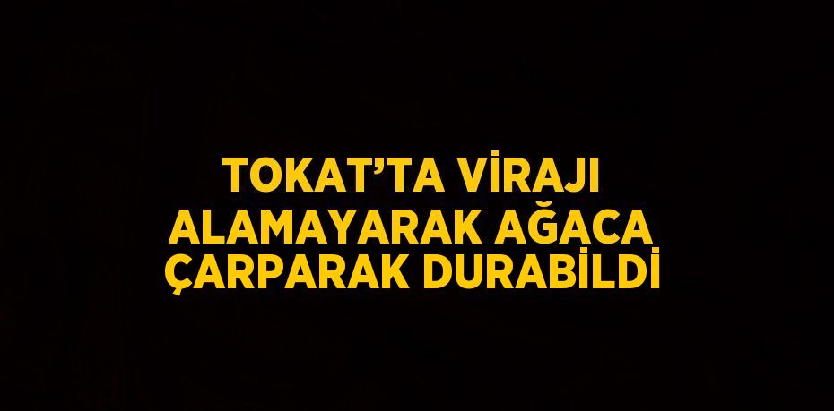 TOKAT’TA VİRAJI ALAMAYARAK AĞACA ÇARPARAK DURABİLDİ