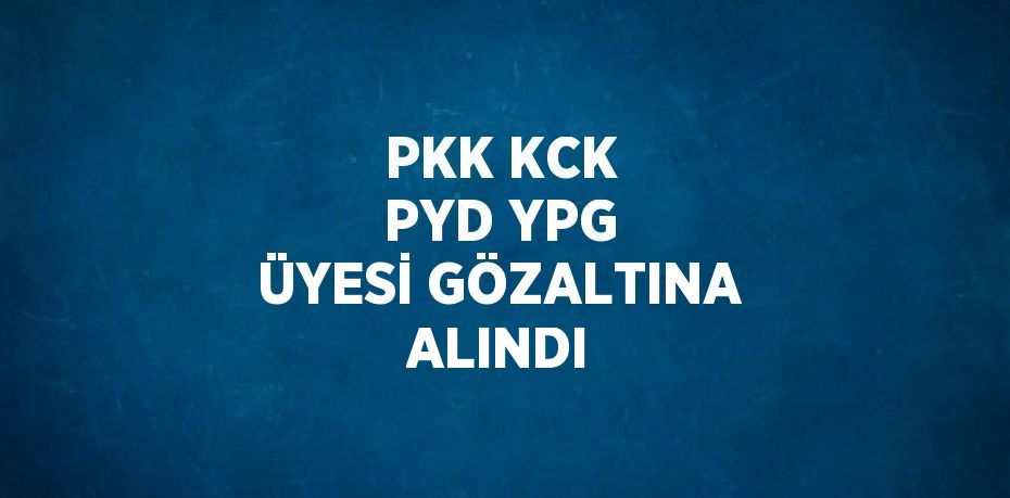 PKK KCK PYD YPG ÜYESİ GÖZALTINA ALINDI