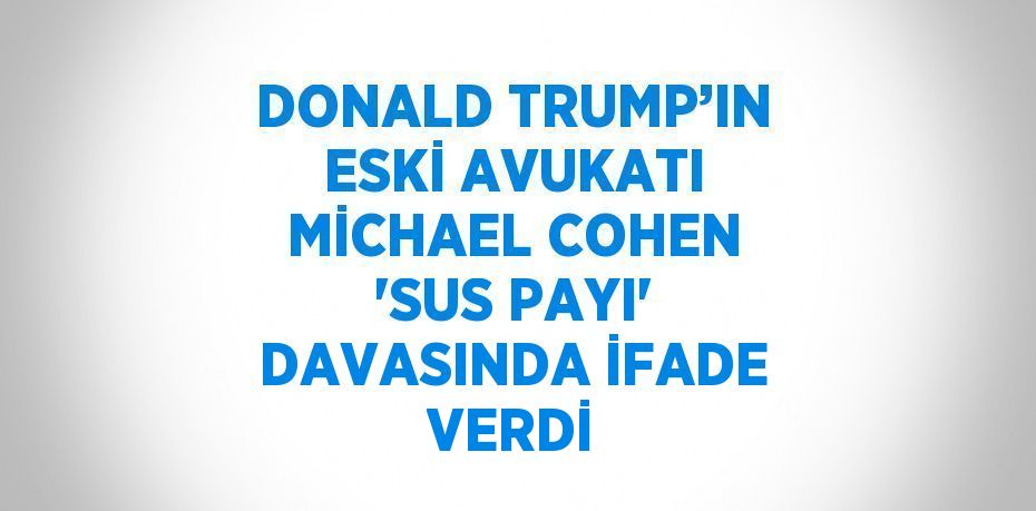 DONALD TRUMP’IN ESKİ AVUKATI MİCHAEL COHEN 'SUS PAYI' DAVASINDA İFADE VERDİ