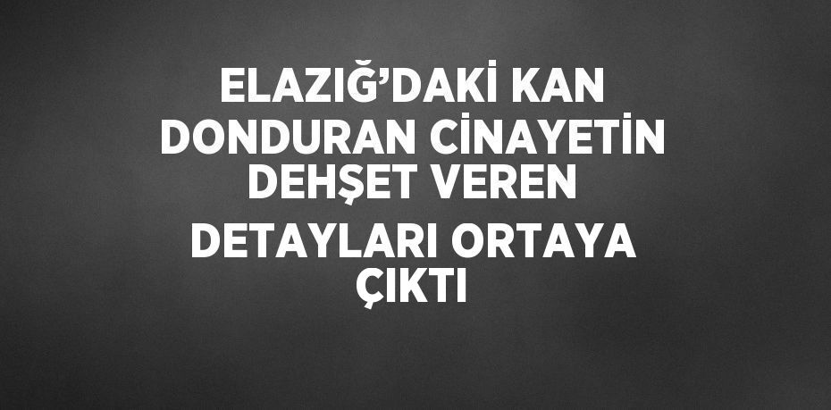 ELAZIĞ’DAKİ KAN DONDURAN CİNAYETİN DEHŞET VEREN DETAYLARI ORTAYA ÇIKTI