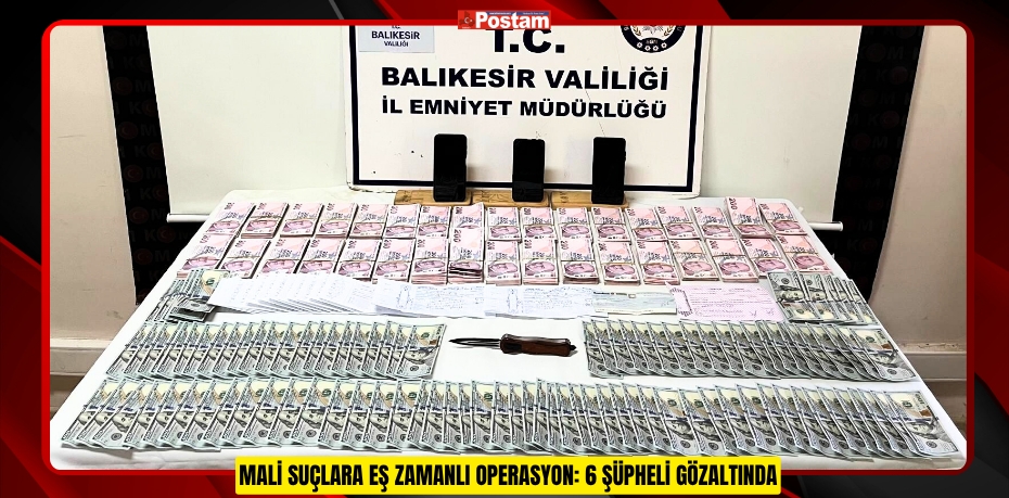 MALİ SUÇLARA EŞ ZAMANLI OPERASYON: 6 ŞÜPHELİ GÖZALTINDA