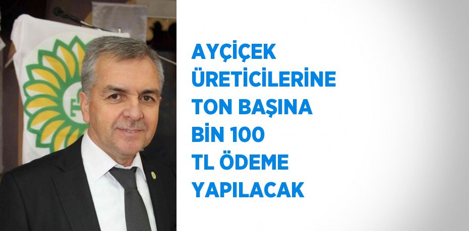 AYÇİÇEK ÜRETİCİLERİNE TON BAŞINA BİN 100 TL ÖDEME YAPILACAK