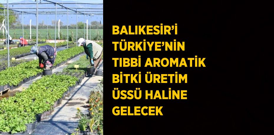 BALIKESİR’İ TÜRKİYE’NİN TIBBİ AROMATİK BİTKİ ÜRETİM ÜSSÜ HALİNE GELECEK