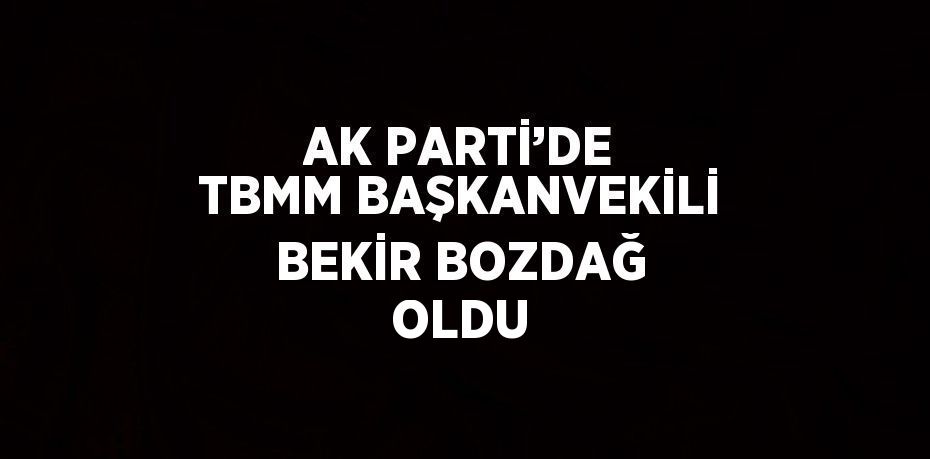 AK PARTİ’DE TBMM BAŞKANVEKİLİ BEKİR BOZDAĞ OLDU