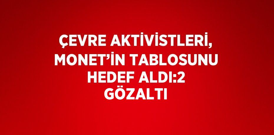 ÇEVRE AKTİVİSTLERİ, MONET’İN TABLOSUNU HEDEF ALDI:2 GÖZALTI