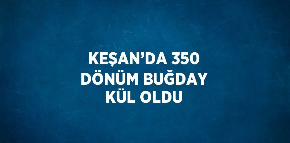 KEŞAN’DA 350 DÖNÜM BUĞDAY KÜL OLDU