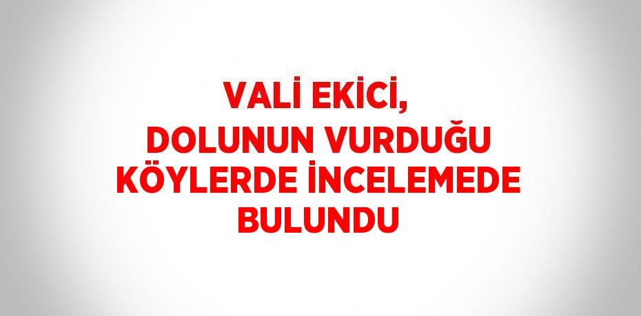 VALİ EKİCİ, DOLUNUN VURDUĞU KÖYLERDE İNCELEMEDE BULUNDU