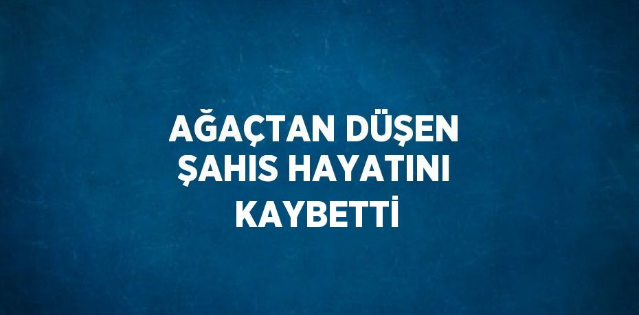 AĞAÇTAN DÜŞEN ŞAHIS HAYATINI KAYBETTİ