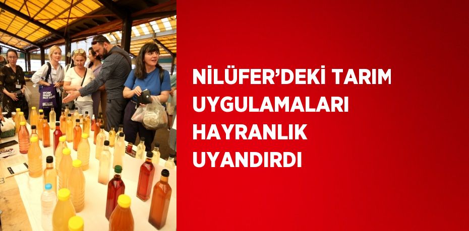 NİLÜFER’DEKİ TARIM UYGULAMALARI HAYRANLIK UYANDIRDI