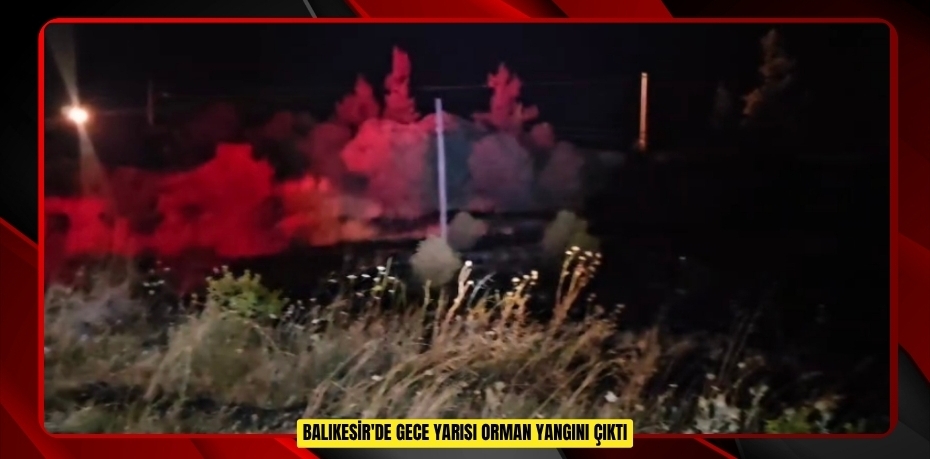 Balıkesir'de gece yarısı orman yangını çıktı  