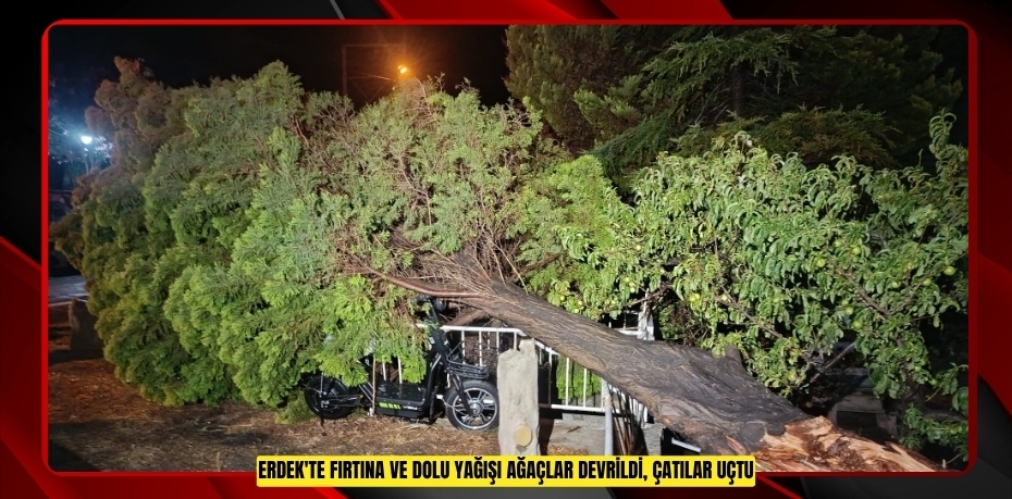 Erdek'te fırtına ve dolu yağışı: Ağaçlar devrildi, çatılar uçtu  
