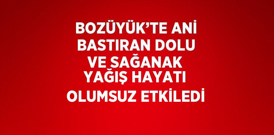 BOZÜYÜK’TE ANİ BASTIRAN DOLU VE SAĞANAK YAĞIŞ HAYATI OLUMSUZ ETKİLEDİ