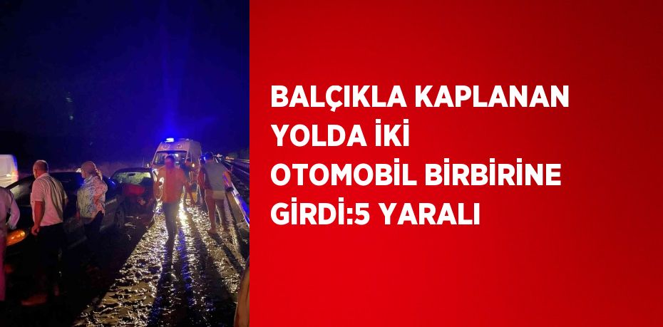 BALÇIKLA KAPLANAN YOLDA İKİ OTOMOBİL BİRBİRİNE GİRDİ:5 YARALI