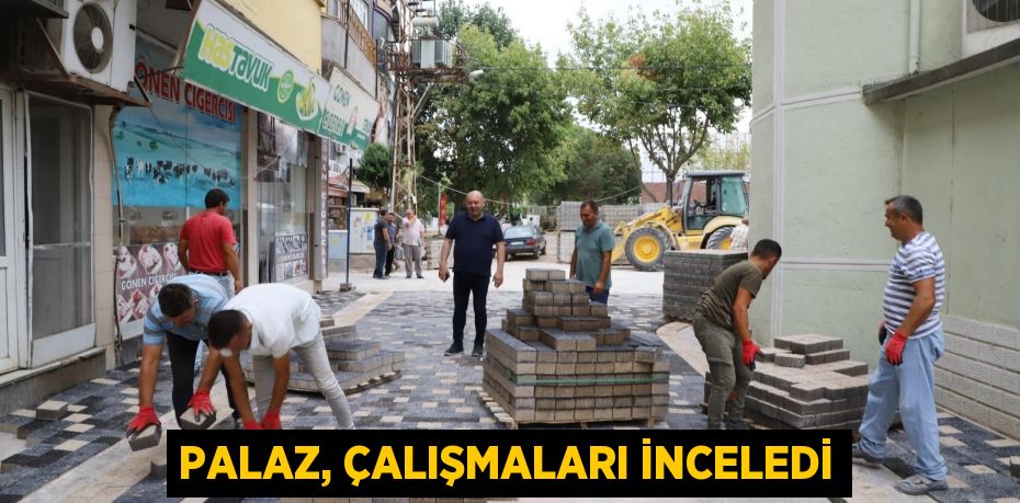 PALAZ, ÇALIŞMALARI İNCELEDİ