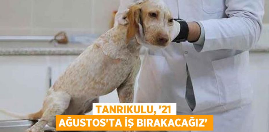 Tanrıkulu, “21 AĞUSTOS’TA İŞ BIRAKACAĞIZ”