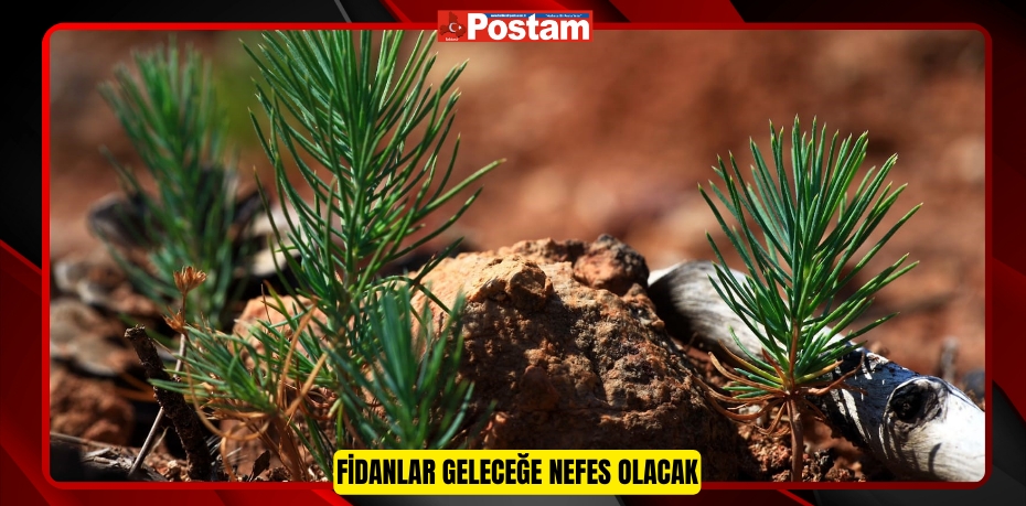 Fidanlar geleceğe nefes olacak