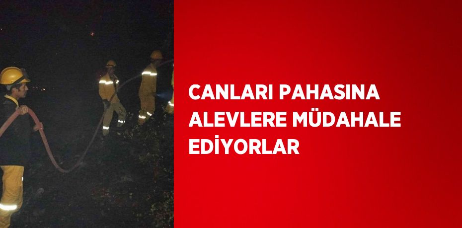 CANLARI PAHASINA ALEVLERE MÜDAHALE EDİYORLAR