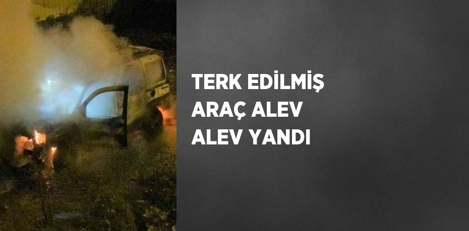 TERK EDİLMİŞ ARAÇ ALEV ALEV YANDI